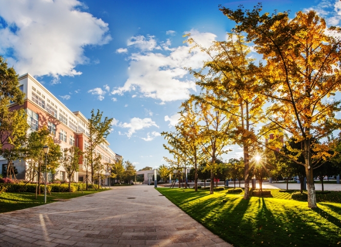 IMG_8037 Panorama_副本