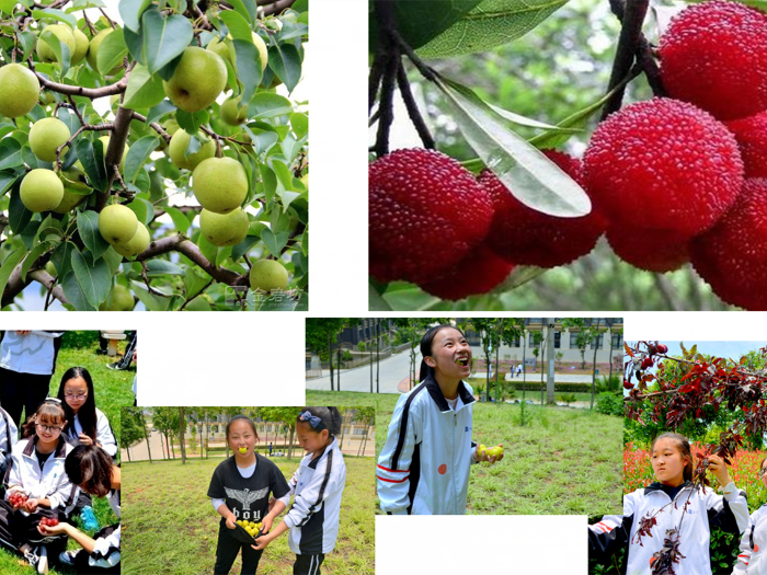 QQ截图20200708094205 QQ截图20200708094205