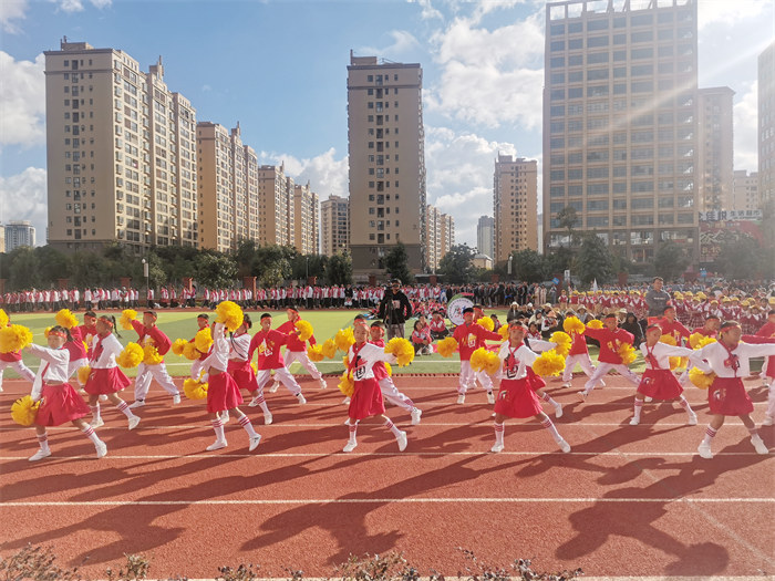 45de09818ba4b8a555e6f1ca3d0ecc7