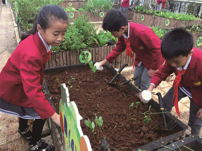 课程多元  学生多彩 (3)