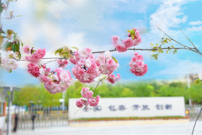 DSC_8888 拷贝 DSC_8888 拷贝