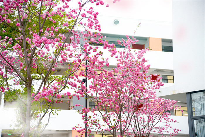 DSC_8867 拷贝 DSC_8867 拷贝