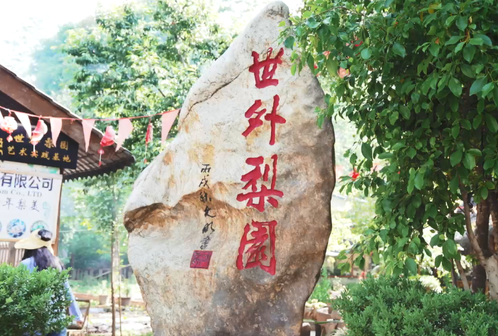 a436cccf5162d53b092d88fdaf76803 a436cccf5162d53b092d88fdaf76803