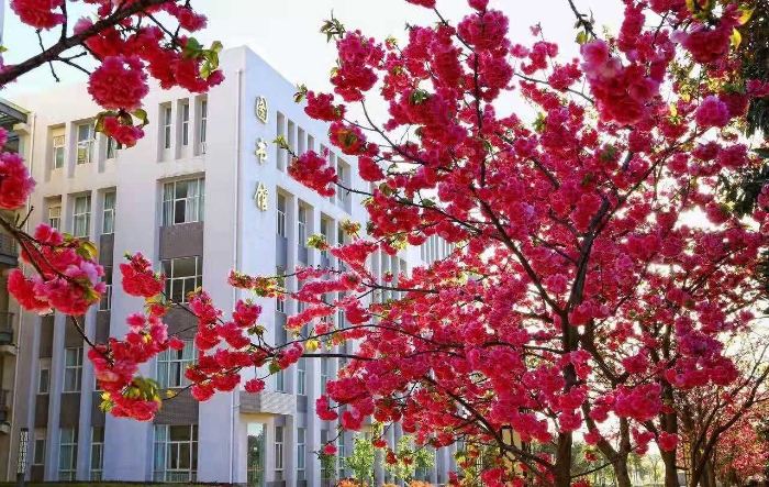 12高新校区校园图