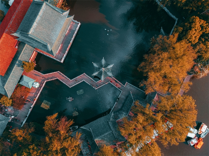 数字媒体艺术设计