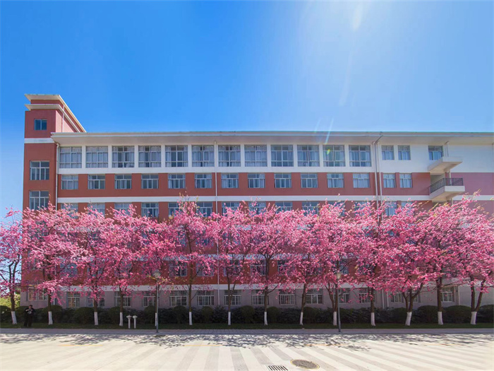 21d46907d6778959eebffddc719b239 21d46907d6778959eebffddc719b239