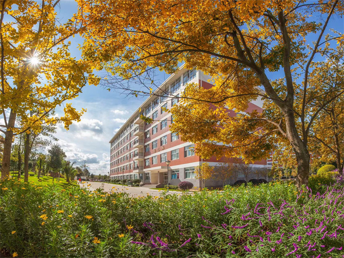 036226543370a7d81ade4d856c259d0 036226543370a7d81ade4d856c259d0