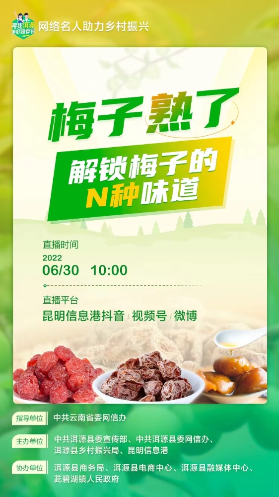 解锁梅子的N种味道