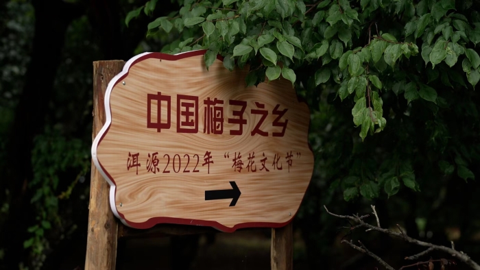 6191dfafa0ba214812e0b09c7013e63