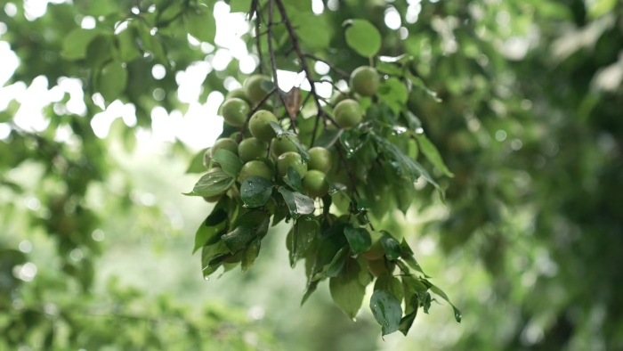 31931a9b61918a6a3a12d7f1fff059f