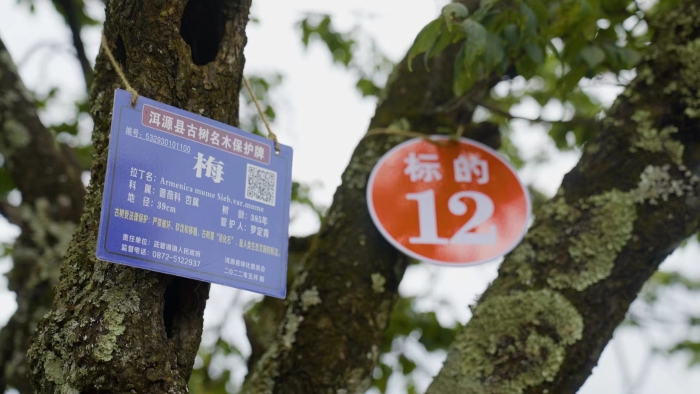 bd65b930f4e2950846632e9b6f7a77a