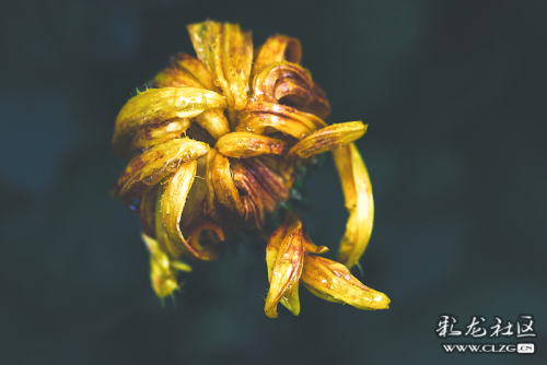 微信图片_202209290946405