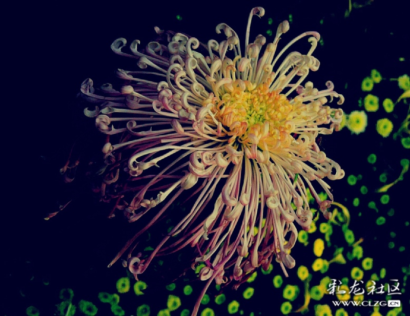 微信图片_202209290946409