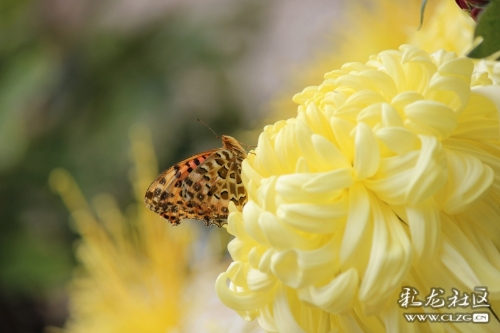 16656667905470013651180036129_5307 16656667905470013651180036129_5307