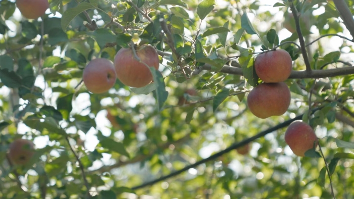 e56733a30b8171040bfccb21a368c13