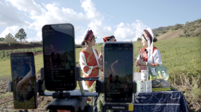 50553315c340d765bf8b70a70e536a9