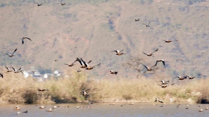 f512d97644b4a28fa397a70893e2a0a