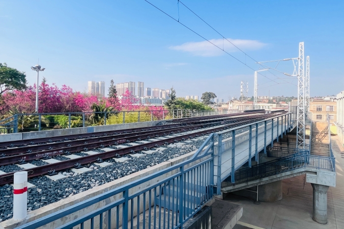 d6b277ba-b38c-45c5-8f76-86fab915cc2c