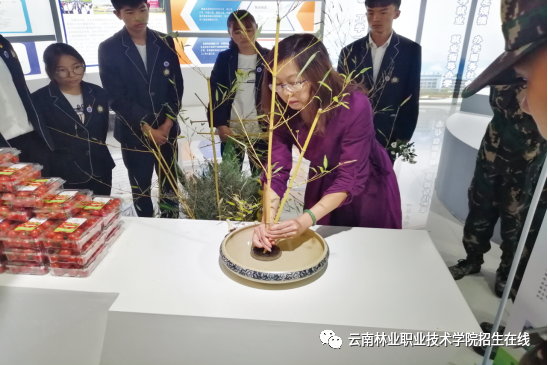 云南省“万人计划”教学名师-