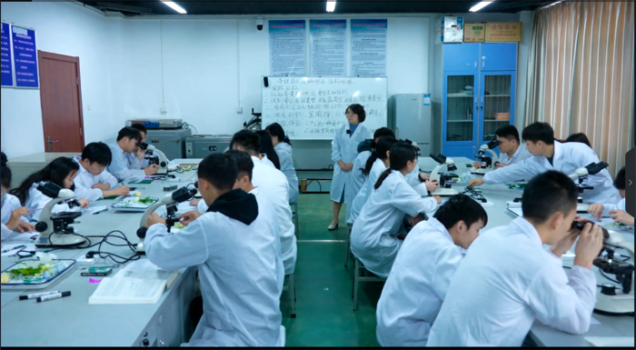 经济林培育与利用