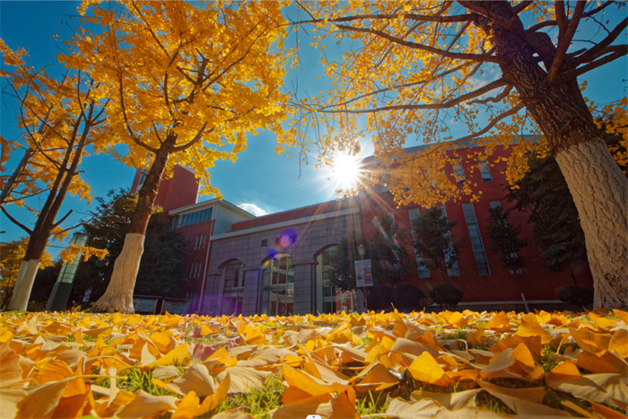 企业微信截图_17169510196717 企业微信截图_17169510196717