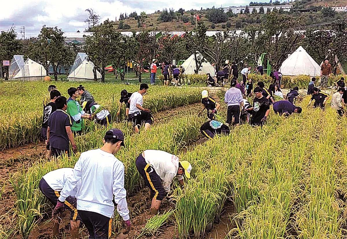 打下牢固根基  树立远大目标