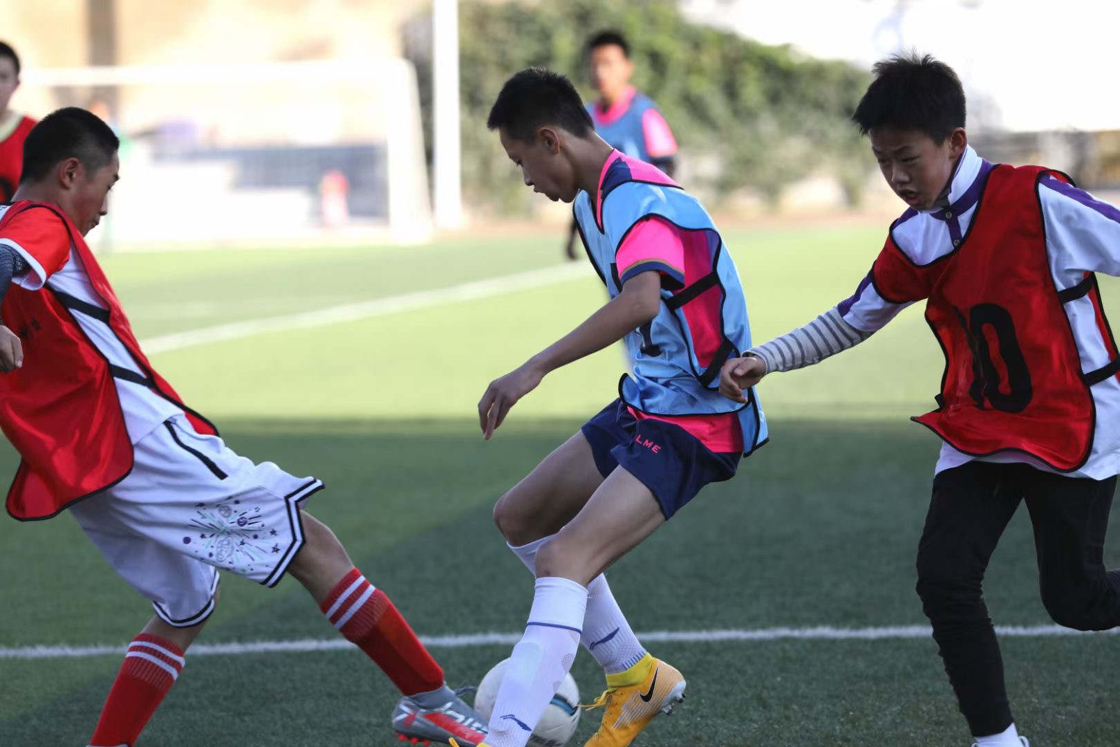 立德树人，五育并举——昆明润城学校办学成果斐然