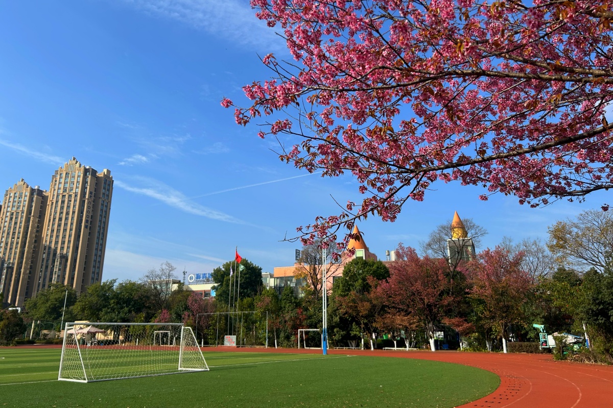 成绩稳居全市前列