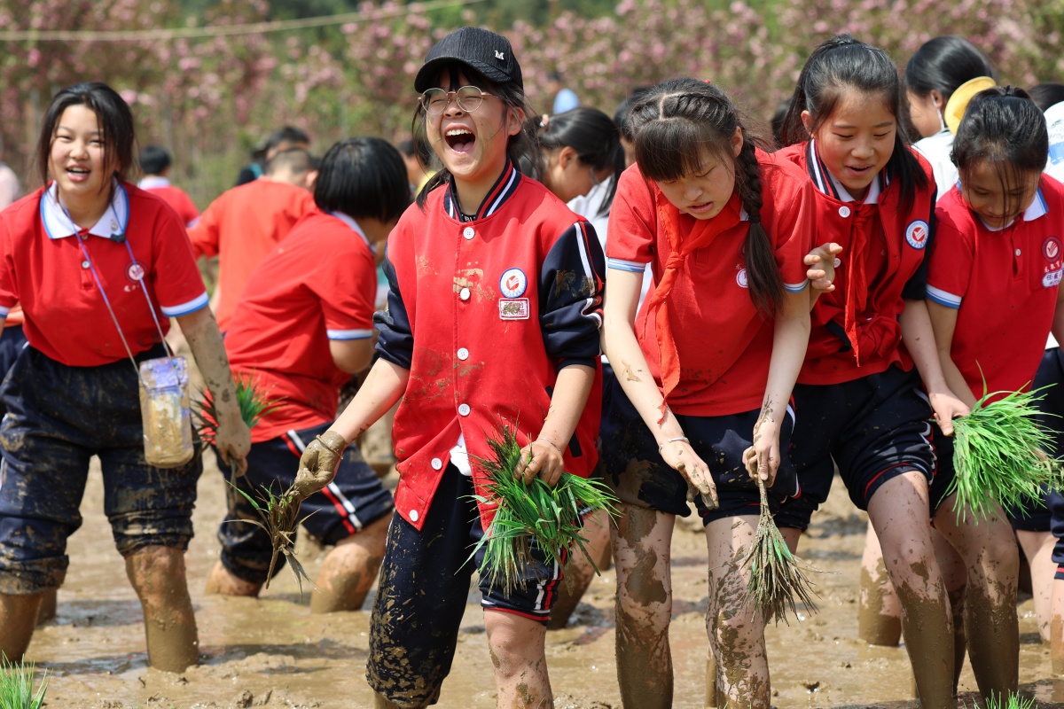 劳动教育基地让学生有担当接地气