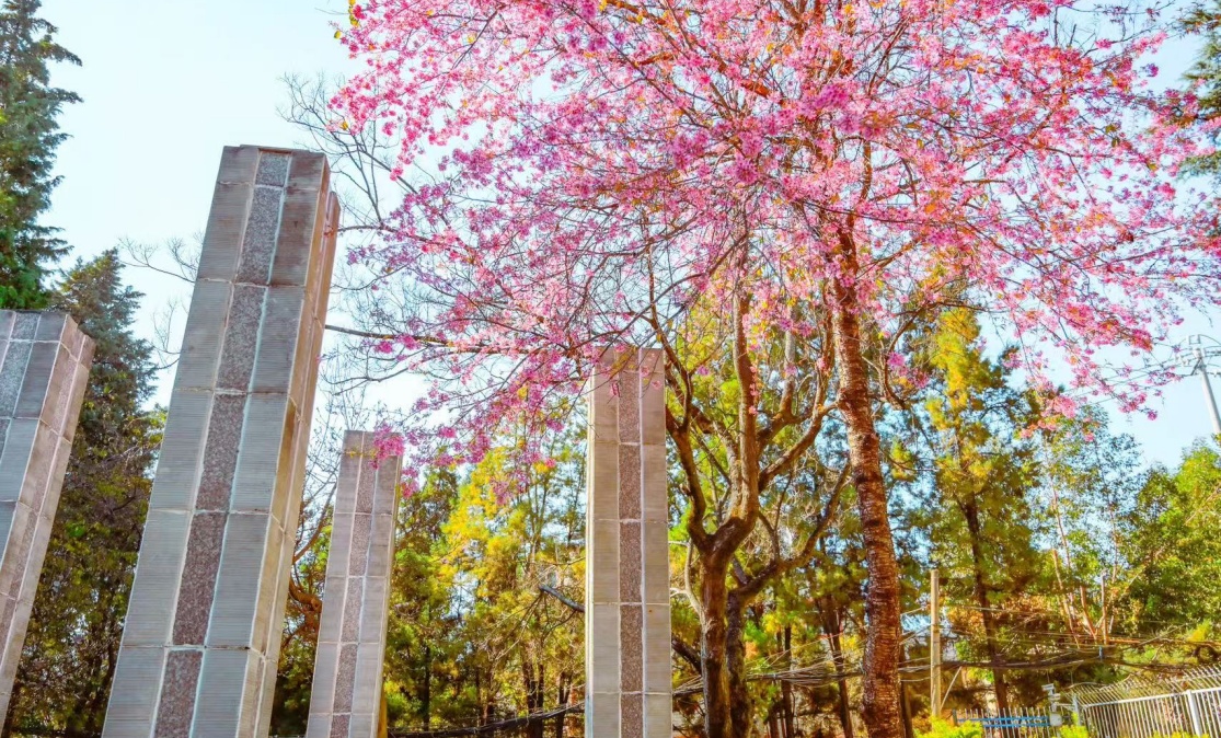 昆明市盘龙区明致实验中学