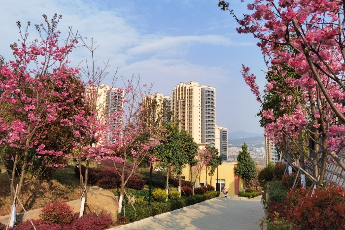 QQ图片20210311103404