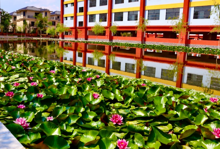 8ecc82e30cc11258a8eb5e79b1e87cf