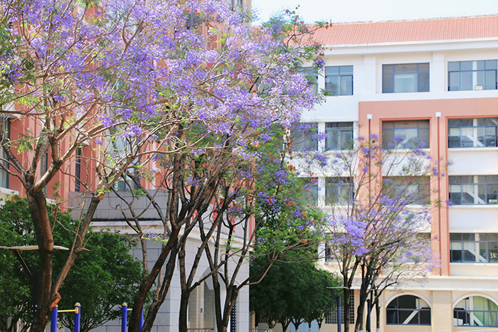 3c991061d699c6966fe59a34717043c