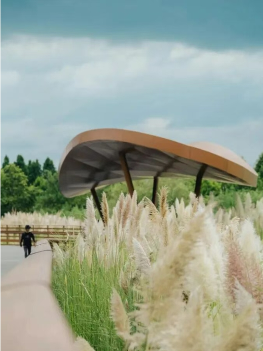 微信截图_20250908152556 微信截图_20250908152556