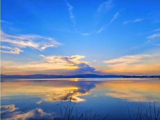 微信截图_20250908154538