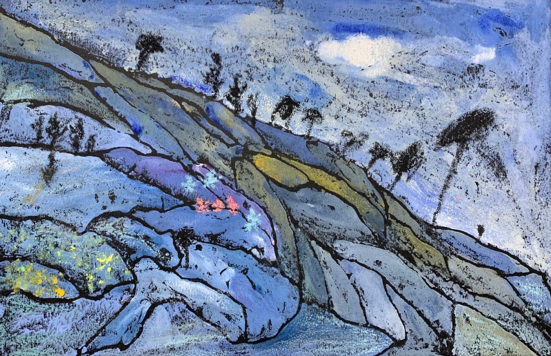 昆理工附小  12岁  戴秋语 《梯田》