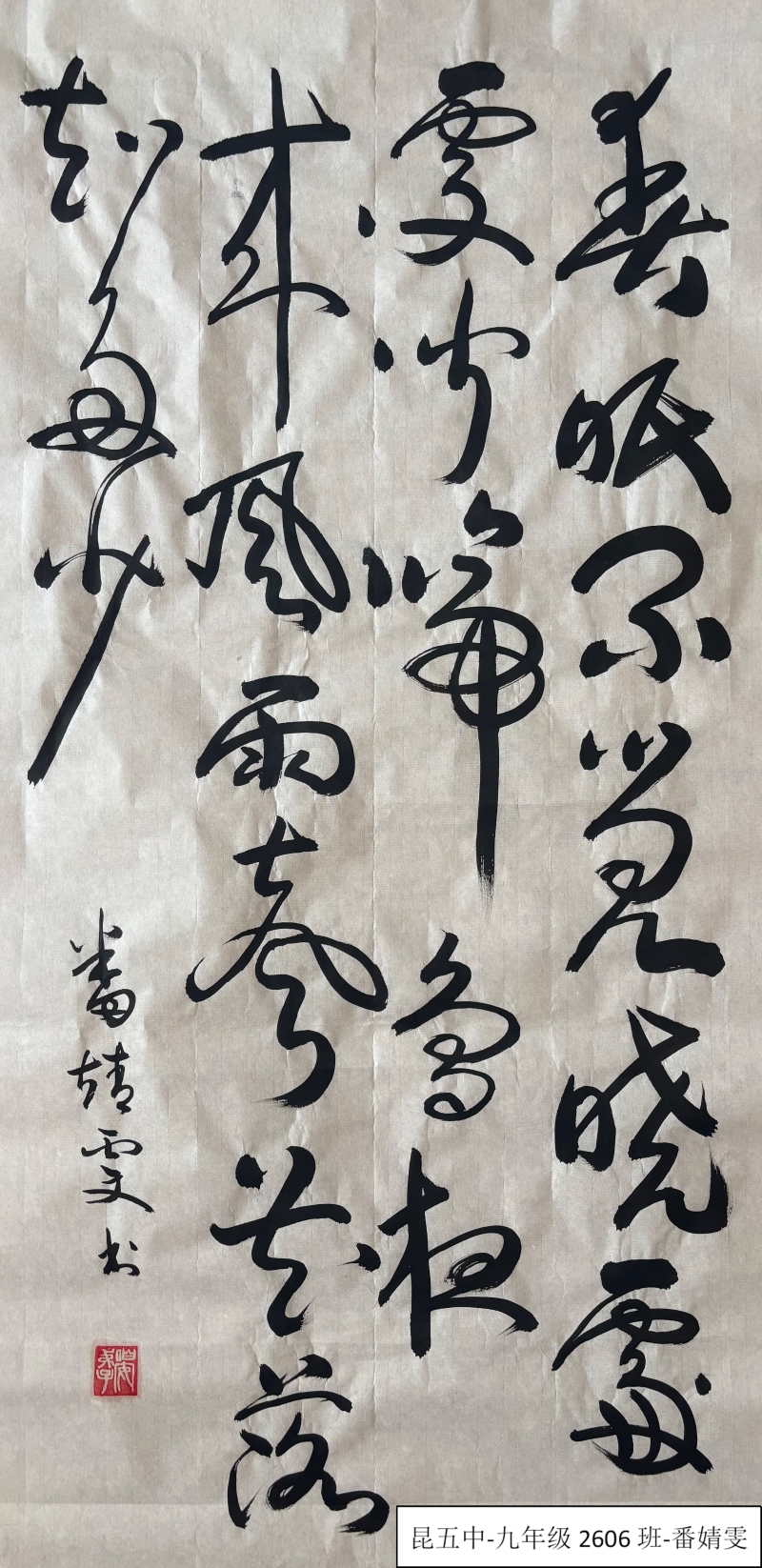 昆五中-九年级6班-番婧雯