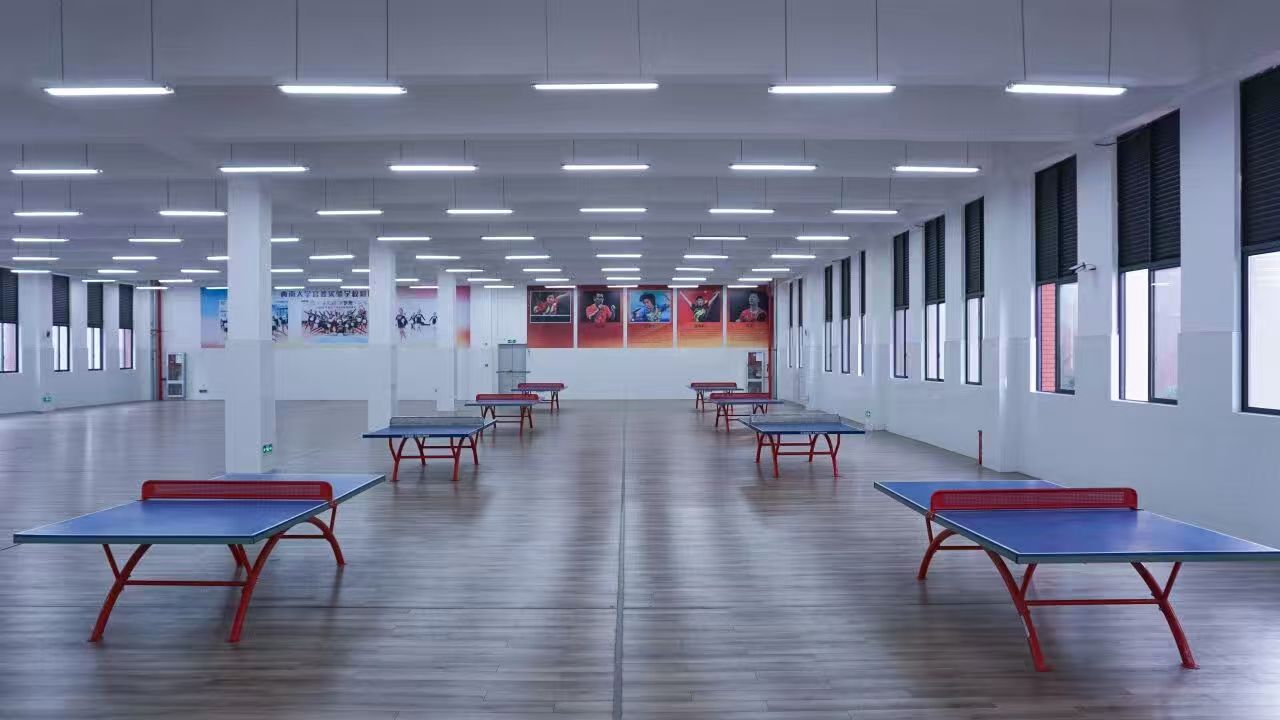 室内乒乓球馆