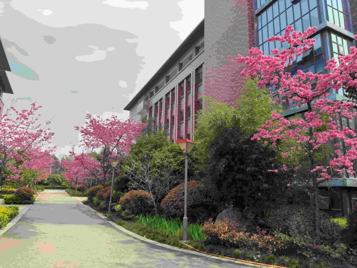 bad1ede4dd2f111aa3616e0413bff65