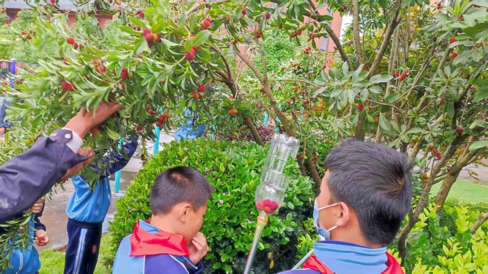 661b5f4ff772b8fedb735abf6796113