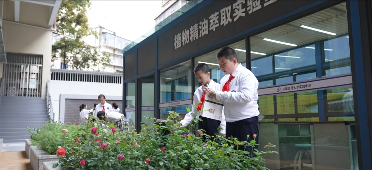 开展生态文明教育_副本 开展生态文明教育_副本