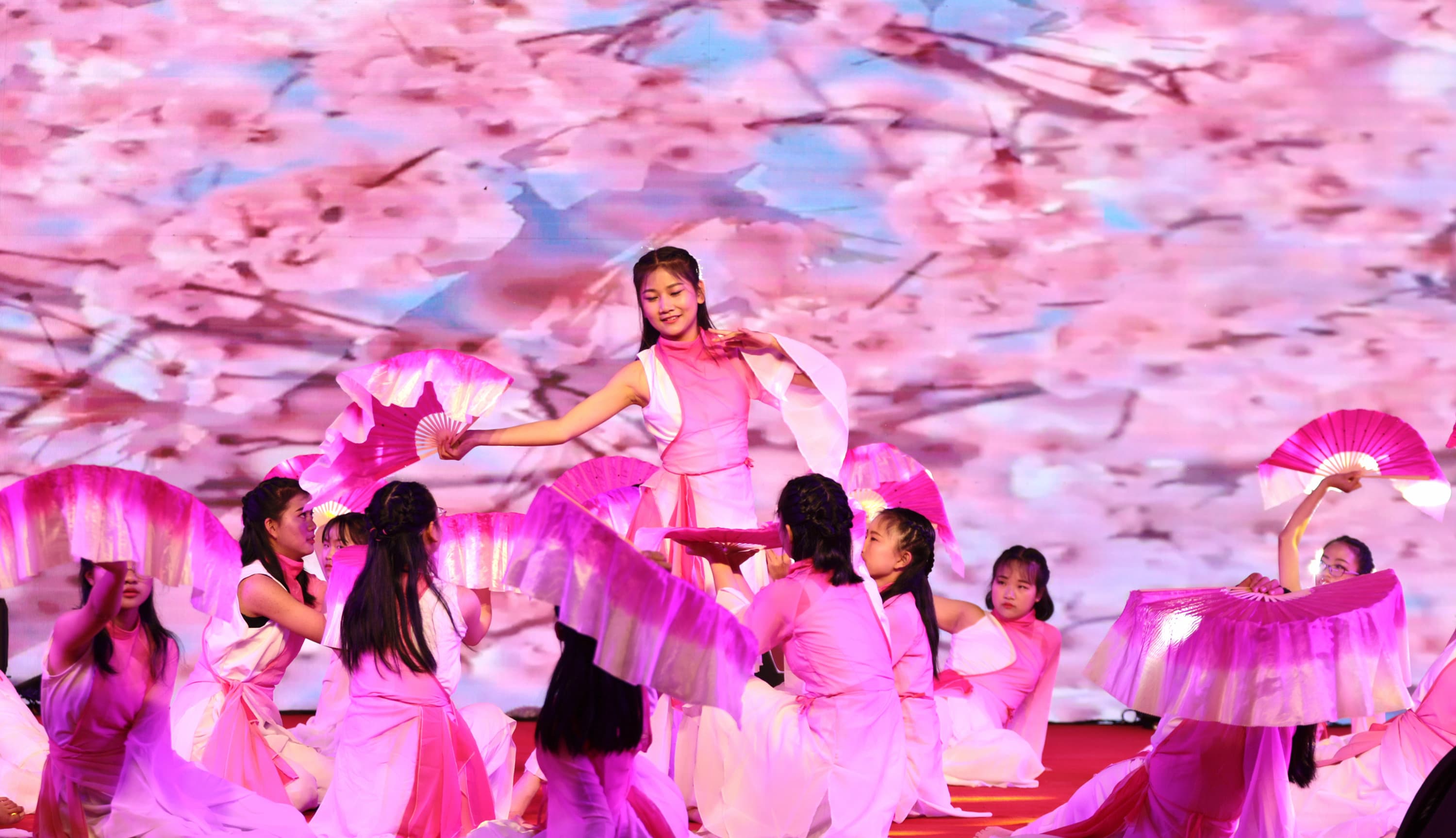 荣誉满载  实力彰显