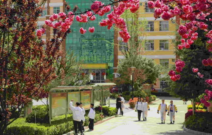 微信图片_20210313091319 微信图片_20210313091319