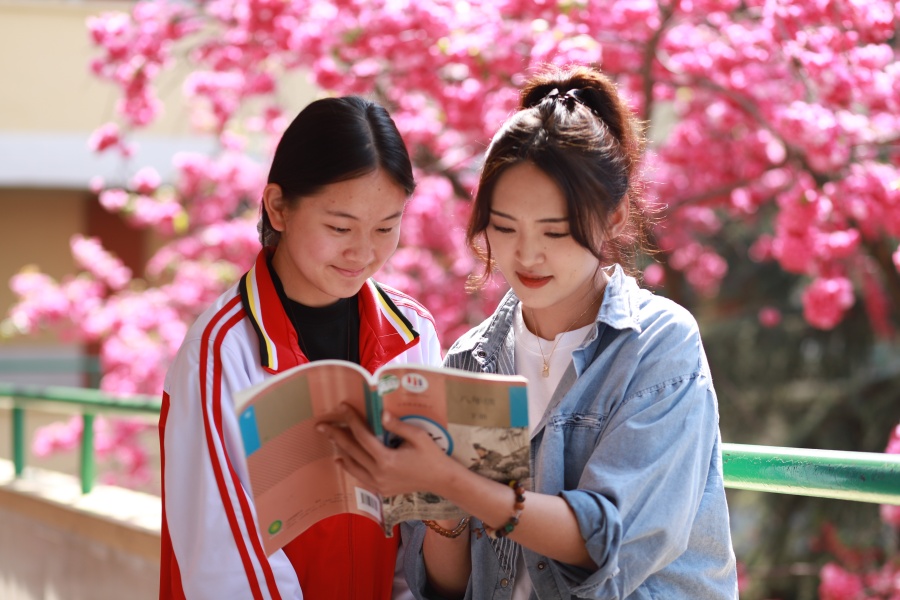 呈贡区育才学校