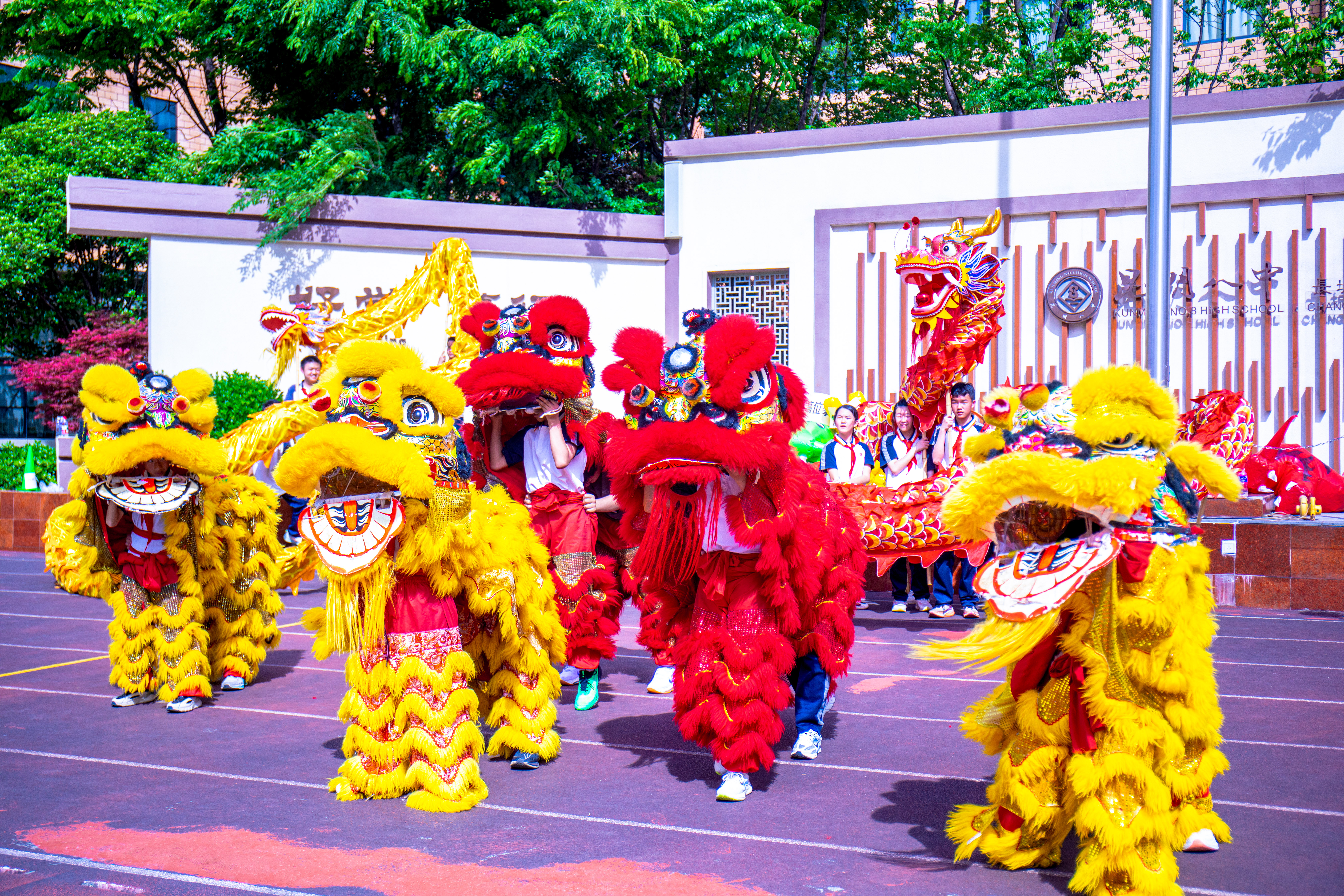 炽热青春热辣滚烫   校园活动熠熠生辉