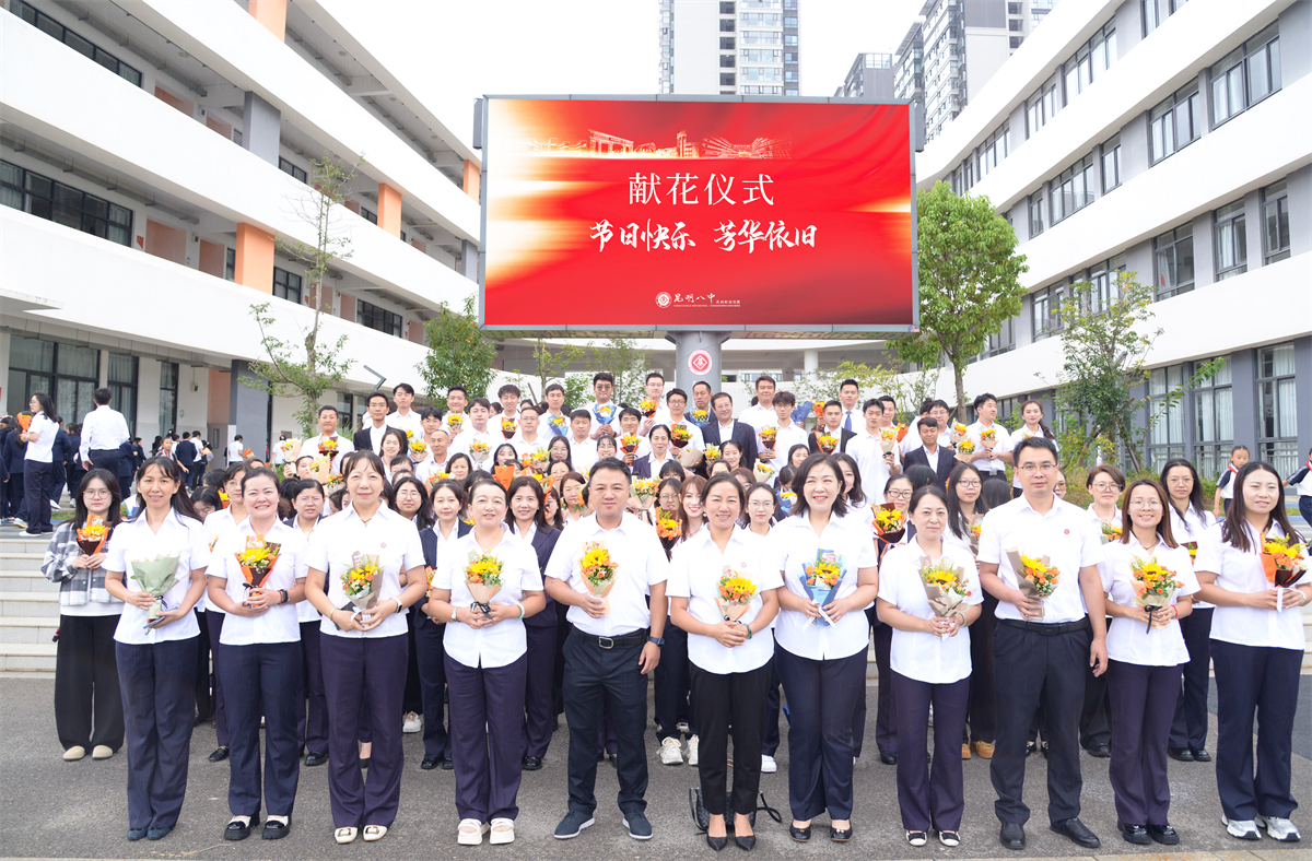 名师荟萃  天团战队